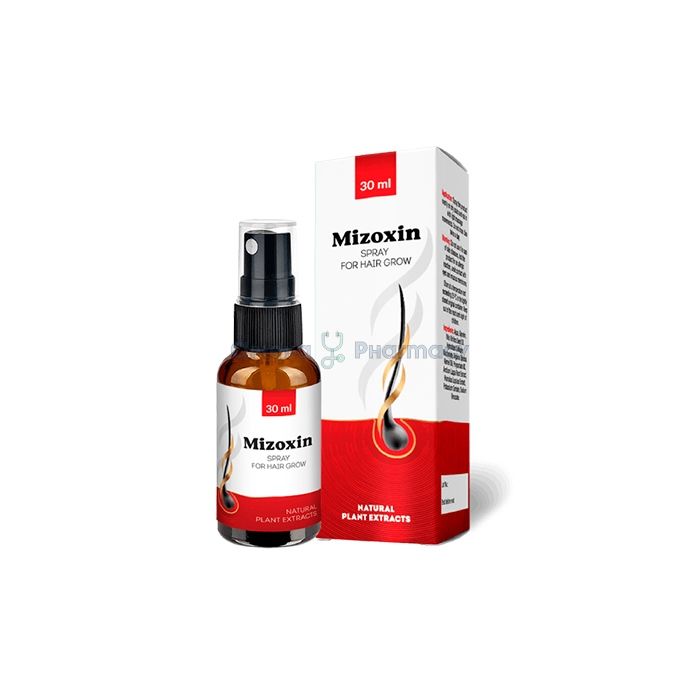 ꕤ Mizoxin ⏤ hair restoration product