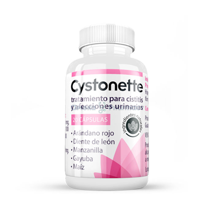 ꕤ Cystonette caps ⏤ Produkt für die Gesundheit des Urogenitalsystems