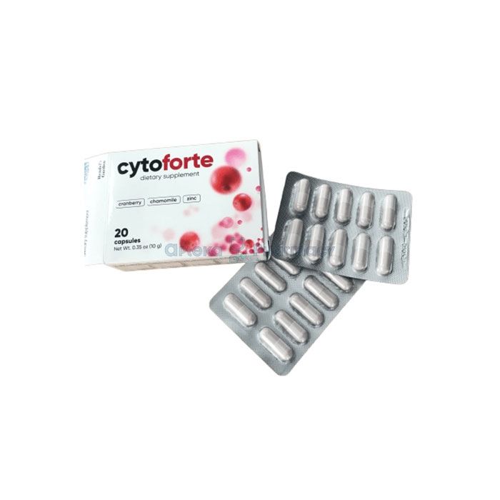 ꕤ Cytoforte ⏤ θεραπεία για κυστίτιδα